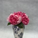دسته صد تومنی