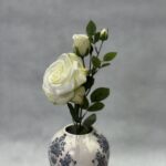 شاخه رز